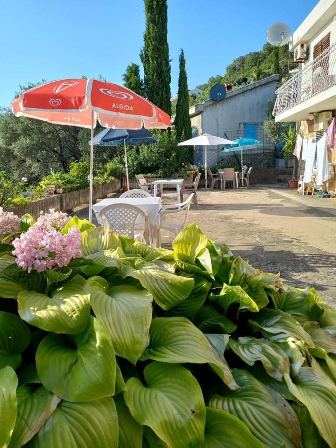 Apartments Andjus Sveti Stefan Zewnętrze zdjęcie